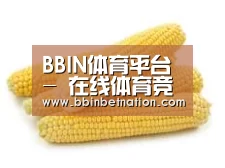 产品名称五