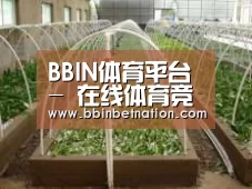 环境展示五