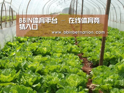 种植基地五