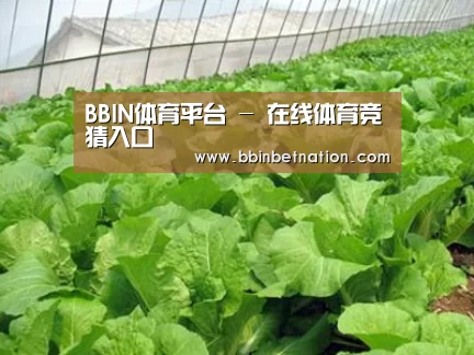 种植基地一