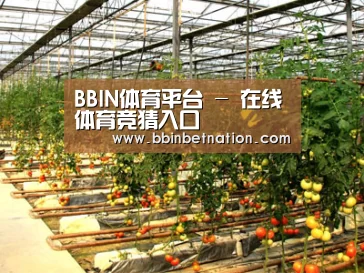 种植基地二