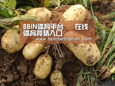 种植基地六