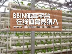 环境展示六