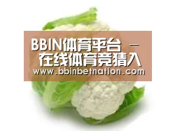 产品名称九