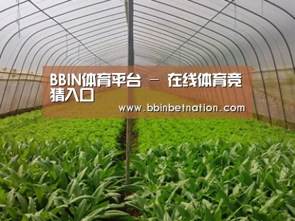 种植基地四