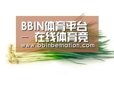 产品名称二