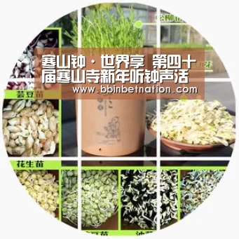寒山钟·世界享 第四十届寒山寺新年听钟声活动【BBIN平台】(图1) BBIN登录