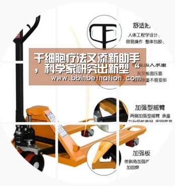 干细胞疗法又添新助手,科学家研究出新型“支架”“BBIN竞猜”(图2) BBIN竞猜