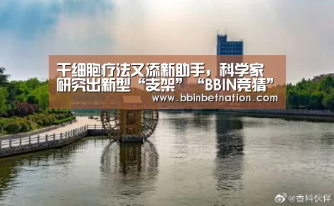 干细胞疗法又添新助手,科学家研究出新型“支架”“BBIN竞猜”(图1) BBIN真人