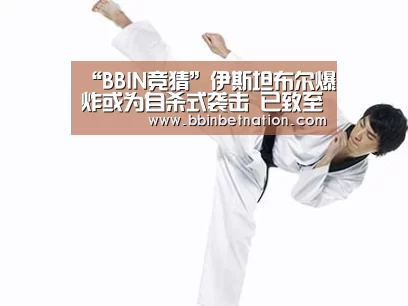 “BBIN竞猜”伊斯坦布尔爆炸或为自杀式袭击 已致至少10人死(图2) BBIN登录
