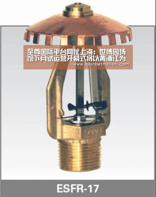 至尊国际平台网址上海:世博园场馆下月试运营开幕式将以黄浦江为舞台【BBIN平台】(图1) BBIN登录